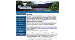 Desktop Screenshot of bluestonewma.com